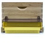 Poławiacz pyłku kwiatowego