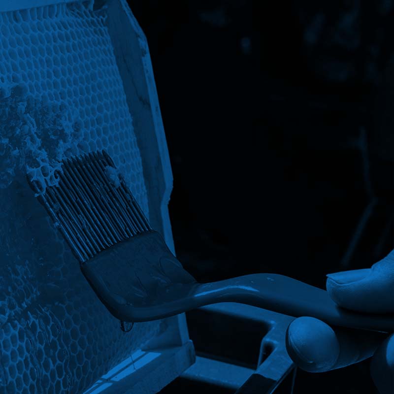 noże do odsklepiania i odsklepiacze widelcowe