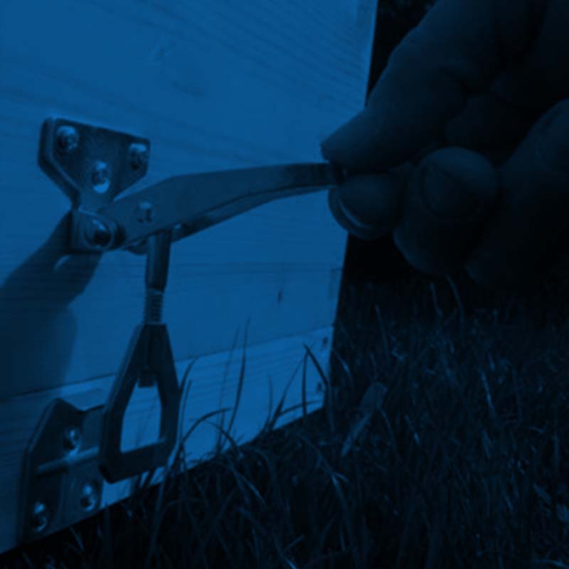 akcesoria do pasieki