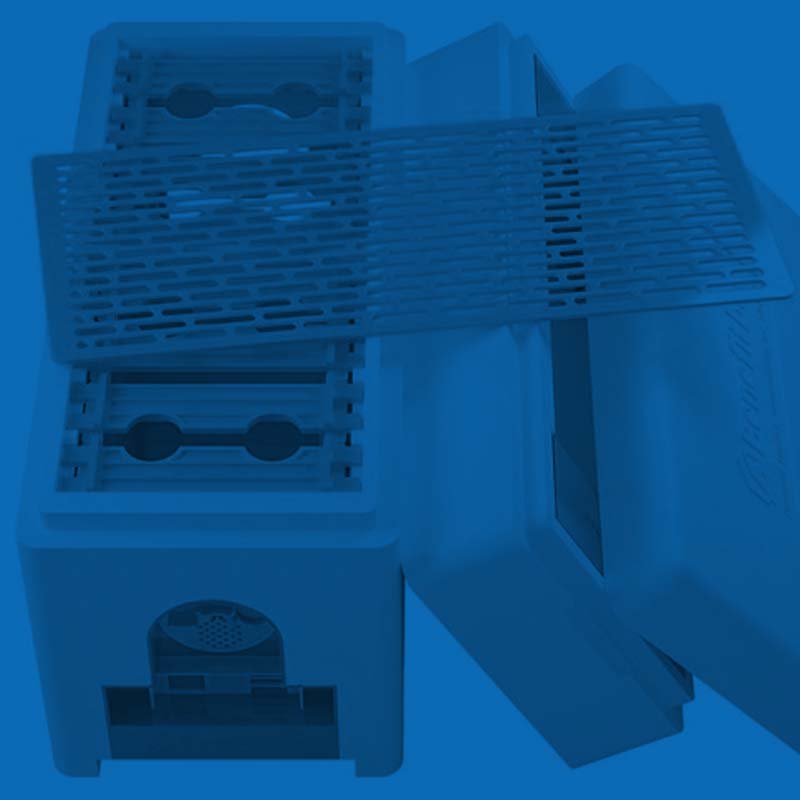 uliki do hodowli matek