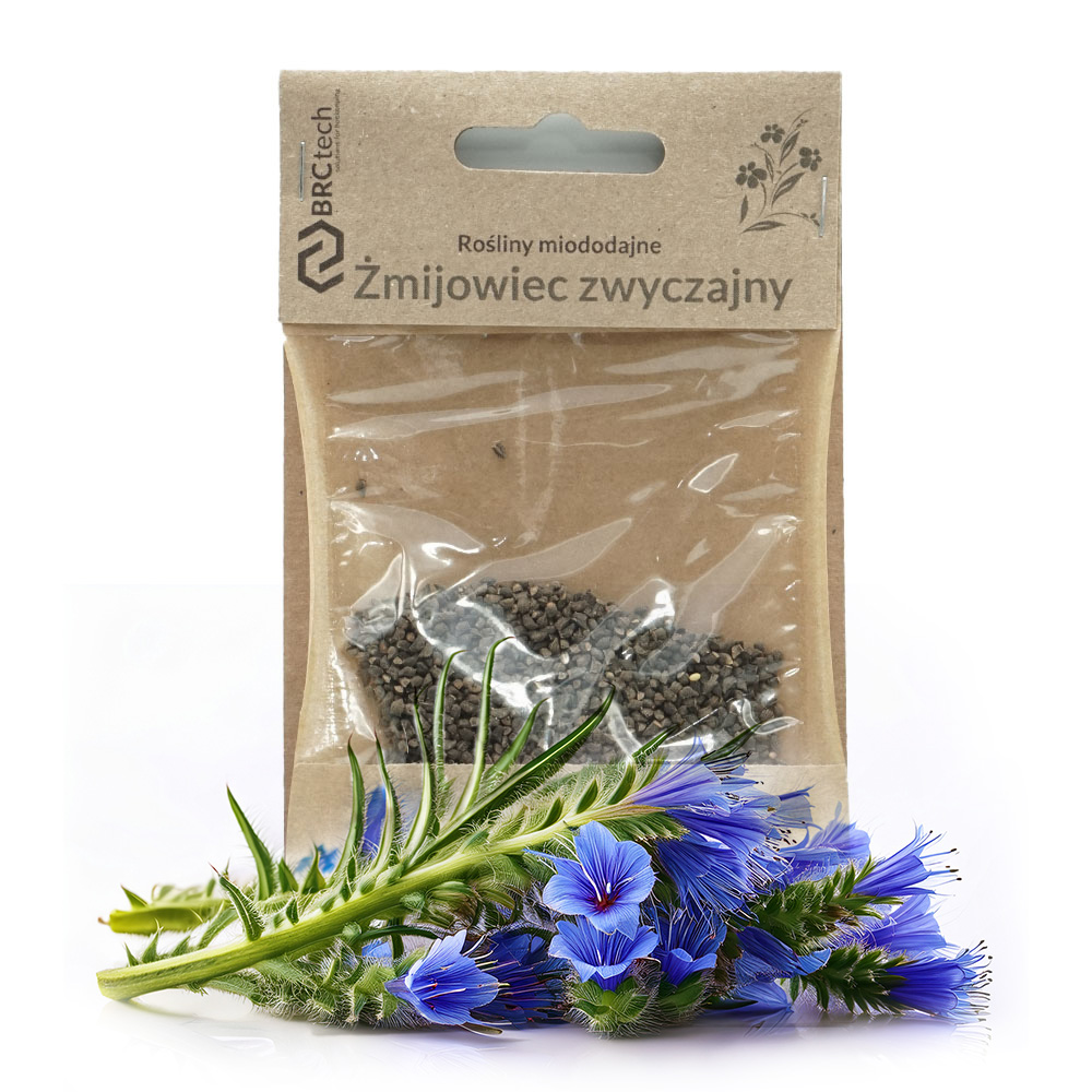 zmijowiec-zwyczajny-2 Nasiona - Żmijowiec Zwyczajny 10g - obrazek 1